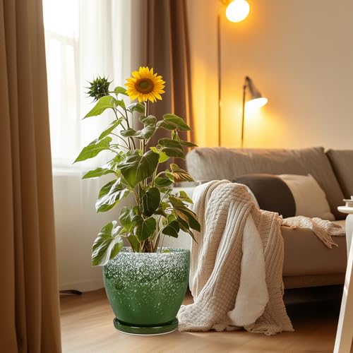 10 Inch Plant Pot - Ceramic Planters for Indoor Plants Outdoor, Large Planter with Drainage Hole and Saucer, Decorative Round Flower Pots, Garden House Decor, Gifts for Plant Lovers, Green - color: Blackish Green, size: 10 Inch