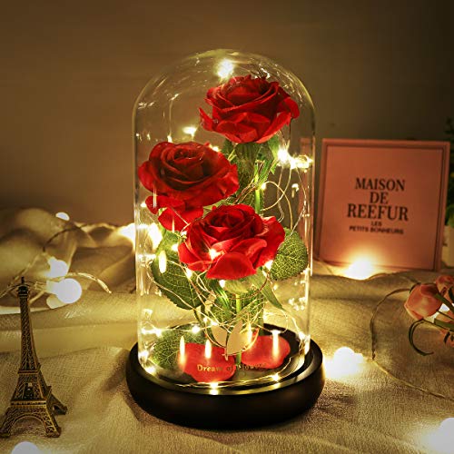 Beauty and The Beast Rose for Mom, Birthday Gifts for Women, Light Up Roses, Glass Dome Rose with LED Lights, Red Roses, Women's Gift for Mom Wife Grandmother - color: Red