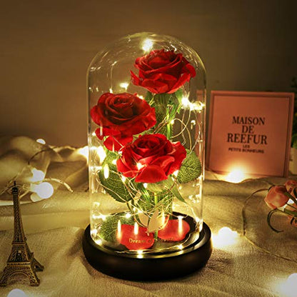 Beauty and The Beast Rose for Mom, Birthday Gifts for Women, Light Up Roses, Glass Dome Rose with LED Lights, Red Roses, Women's Gift for Mom Wife Grandmother - color: Red