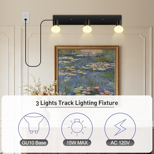 3 Head Plug in Track Light Fixture Black, Easy Install Corded Track Lighting Kit with Switch, Adjustable Directional Spotlight for Kitchen Island Closet Art Display, Modern Ceiling Lamp,15ft Cord - color: Black-3 Light