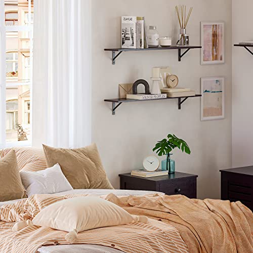DINZI LVJ Long Wall Shelves, 39.4 Inch Wall Mounted Shelves with Brackets - color: Espresso, size: 39.4 Inch