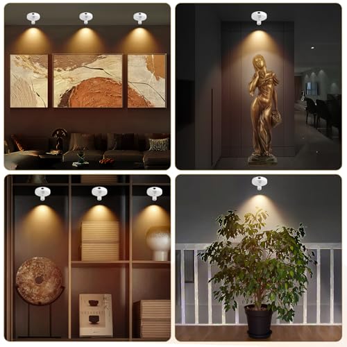Wireless Spotlight Battery Powered, Rechargeable Plant Spot Light Indoor - color: chargeable White