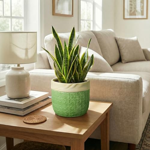 8 Inch Plant Pot, Ceramic Pots for Plants, Round Flower Pots, Green - color: Green, size: 8 Inch