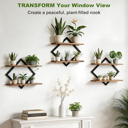 Set of 3 Floating Wall Shelves for Plants, Brown - color: Rustic Brown-3pack