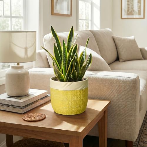 8 Inch Pots for Plants, Ceramic Planter, Round Planter, Yellow - color: Yellow, size: 8 Inch