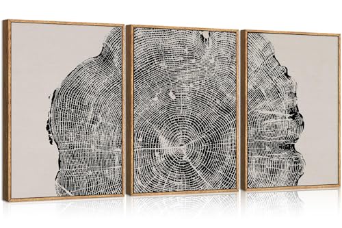 CHDITB Framed Tree Ring Wall Art Set of 3, 24"x36" Abstract Wood Stump Wall Decor, Large Black and White Wall Painting, Neutral Modern Nature Canvas Art Prints for Living Room, Bedroom, Farmhouse - color: Black Tree Ring, size: 24"L x 36"W