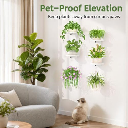 LASZOLA Plant Hanger Holder Window Shelf Wall Mounted Indoor, 2 Pcs White - color: Pure White, size: 2