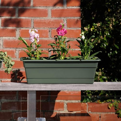 Bloem Dura Cotta 18" Plastic Window Box Planter with Saucer, Basil, 3-Pack - color: Basil, size: 18" (Pack of 3)