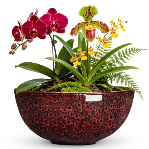 Bowl Planter, 10 Inch Ceramic Bonsai Pots, Red Leopard - color: Red Leopard-1, size: 10 Inch