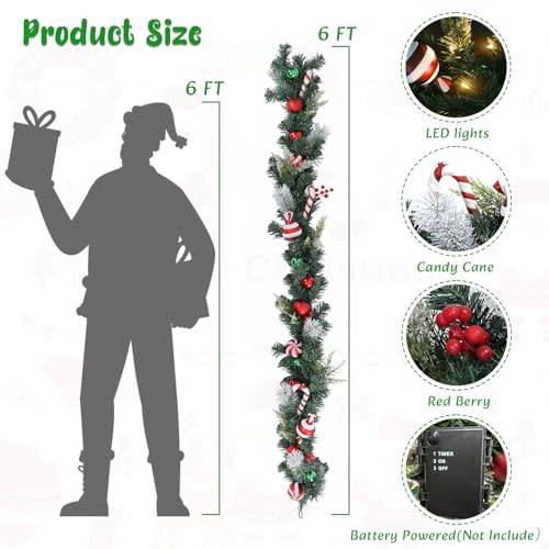 DREAM GARDEN 6 FT Lighted Christmas Garland for Front Door