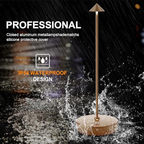 Rechargeable Cordless Table Lamp, Portable Powered LED Battery 6000mAh Metal USB Desk Lamp, 3 Levels Brightness Light for Restaurants Outdoor (Titanium) - color: Titanium