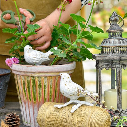 Sungmor Cast Iron Small Bird with Branch Statues, 2 Pack Antique White - color: White & Birds