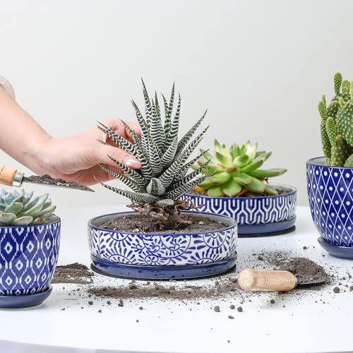 Selamica Ceramic Succulent Pots, Shallow Succulent Planters with Drainage Hole & Saucer, Indoor Plant Pots for Cactus, Home Decor，Vintage Blue,6 inch - color: Vintage Blue, size: 6 inch