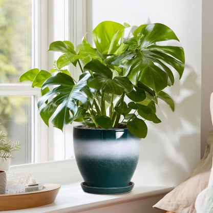 Ceraimc 6 Inch Planters, Ceraimc Pots for Plants, Green-White - color: Green-white, size: 6 Inch