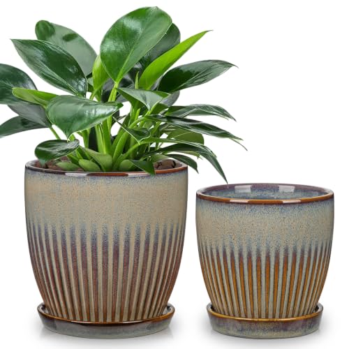 Ceramic Pots for Indoor Plants 4.9 +5.7 inch Pots for Plants - color: Brown&grey - 4.9" & 5.7" Set