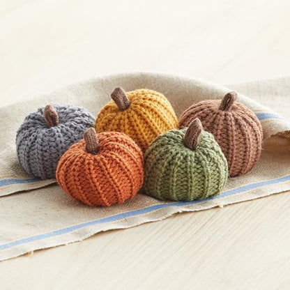 Your Heart's Content Mini Knit Pumpkins Set of 5 (Mini Earth Tone Set) - color: Mini Earth Tone Set