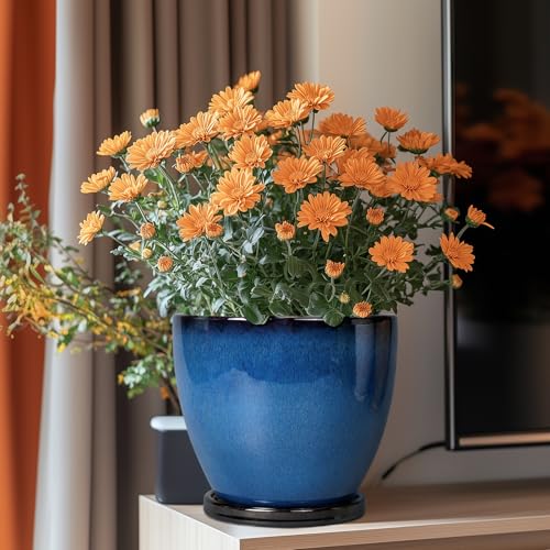 8 Inch Planter - Ceramic Plant Pot with Drainage Hole and Tray Round Planter Modern Flower Pot for Room Home Office Patio Porch Garden Decor Blue - color: Reactive Glaze Blue, size: 8 Inch