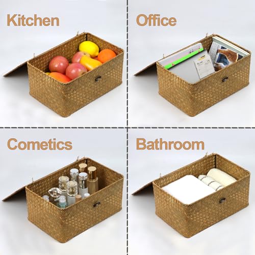 Seagrass Wicker Storage Basket with Lid, Large, Natural - color: Natural, size: 13" x 8.66" x 6.1"