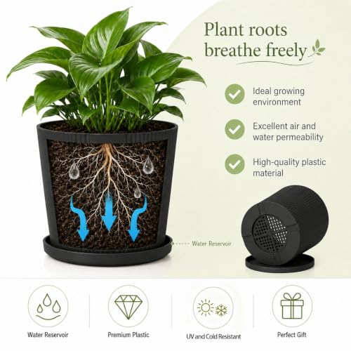 QCQHDU 2 Pack Plant Pots Indoor,4.8+5.5 Inch Succulent Pots,Small Flower Pots with Saucers & Drainage Bulk,Plastic Mini Pots for Orchids,Violets,Succulents,Herbs,and Other Plants - color: Black, size: 4.8''+5.5''