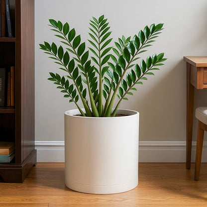 D'vine Dev Plastic Planter Pot with Saucer, 12 in, Oatmeal, 74-X-H-3 - color: Oatmeal, size: 12 Inch