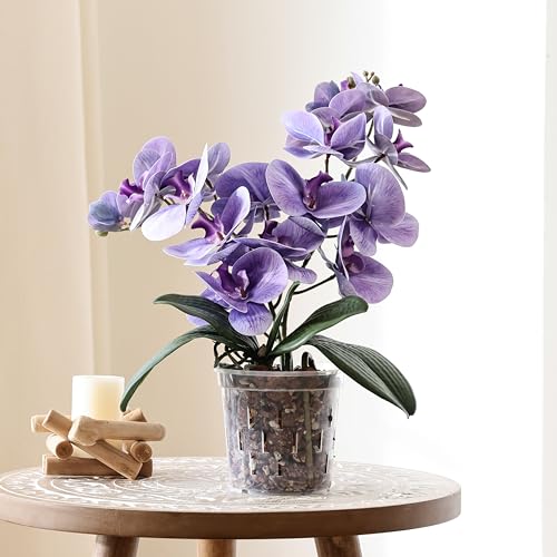 TRUEDAYS Orchid Pot, 4 Pack 4 Inch Plant Pot with Drainage - size: 4Inch-4Pack