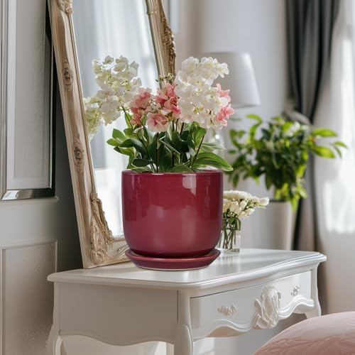 Ceramic Flower Pot for Plants, 8 Inch Plant Pot, Red - color: Red, size: 8 Inch