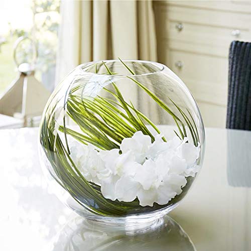 WGV Bowl Glass Vase Bulk, Diameter 8", Height 6.5", Open Width 3.75", (Multiple Sizes Choices) Clear Bubble Planter Terrarium Fish Bowl for Wedding Event Home Decor, 6 Pieces (VBW0008) - size: 8"Dx6.5"H 1 Case