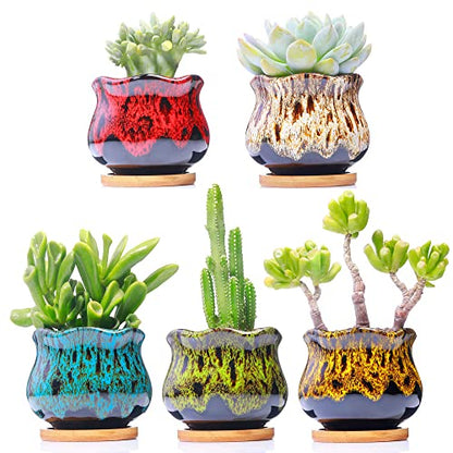 Cute Ceramic Succulent Garden Pots, Planter with Drainage and Attached Saucer, Set of 5 -Plants Not Included (Fambe) - color: Fambe