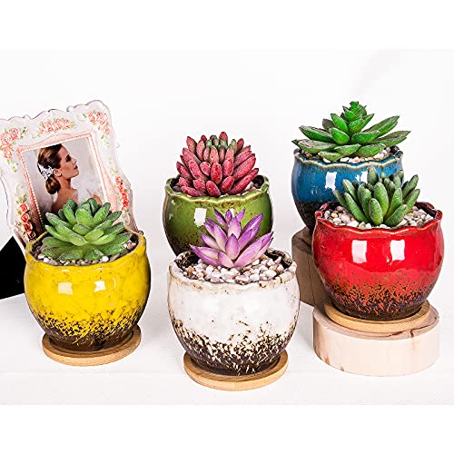 Succulent Pots, 4 Inch Small Plant Pots with Drainage Tray Set of 6 - color: Blue/Green/Red/White/Yellow/Light Blue - 4 Inch