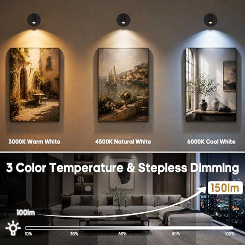 Spotlights Indoor with Remote, 5500Mah Rechargeable Picture Lights on Wall - color: Black-5500mAh