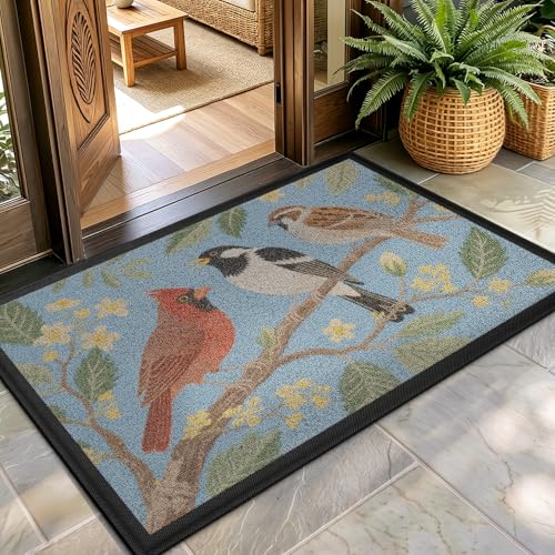 Color&Geometry Front Door Mat Outside Entrance, 29.5x48 Summer Entryway Doormat with Heavy Duty Backing, Anti-Slip Welcome Mats for Patio Garage Porch - Natural Home Accessories, Vintage Bird - color: Vintage Bird, size: 30"x48"