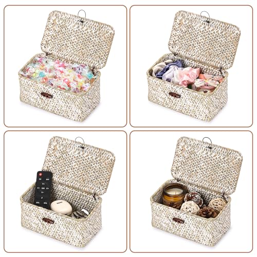 Handwoven Seagrass Basket Small Wicker Basket with Lid,7x4.3x 3.3" - color: Whitewash color, size: 7.0"L x 4.3"W x 3.3"H