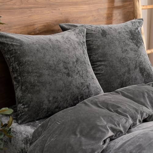 PHF Truly Velvet Euro Shams 26" x 26", Dark Grey, No Insert, 2 Pack - color: Dark Grey, size: 26" x 26" (Pack of 2)