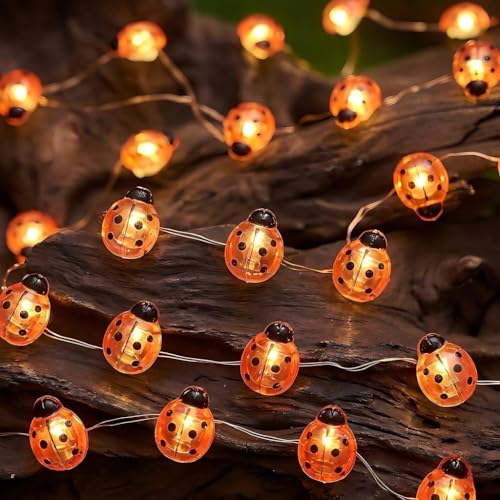 Ladybug String Lights 30LED 10FT - Battery Operated Garden Fairy Lights for Spring Decor, Kids Room, Outdoor Party & Good Luck Gift, Warm White - color: Ladybug