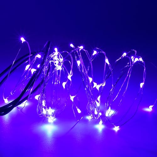 Karlling USB Plug in LED Fairy Lights,2 Packs of 50 LED Bulbs 16 Ft Silver Wire Waterproof Starry String Lights for Bedroom Patio Garden Party Wedding Commercial Lighting (Purple) - color: Purple, size: 50 Leds(2 Pack)