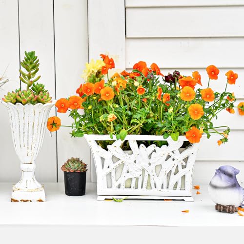 Sungmor Cast Iron Plant Basket with Non-Woven Growing Bag - Rust White - color: Antique White - Rectangle