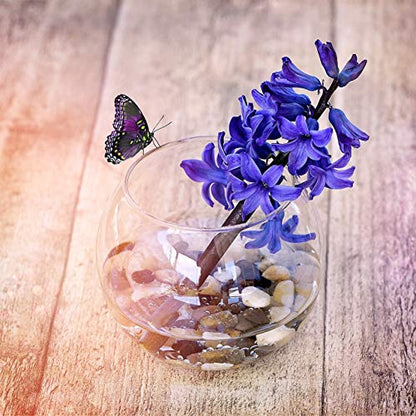 WGV Bowl Glass Vase Bulk, Diameter 8", Height 6.5", Open Width 3.75", (Multiple Sizes Choices) Clear Bubble Planter Terrarium Fish Bowl for Wedding Event Home Decor, 6 Pieces (VBW0008) - size: 8"Dx6.5"H 1 Case