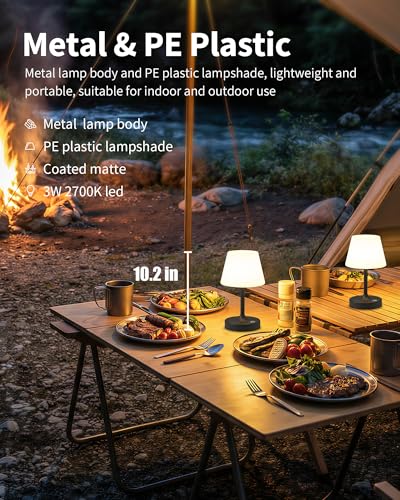 PUSU Cordless LED Black Small Table Lamp, Waterproof Shower Desk lamp - color: Matte Black (Metal + PE Plastic)