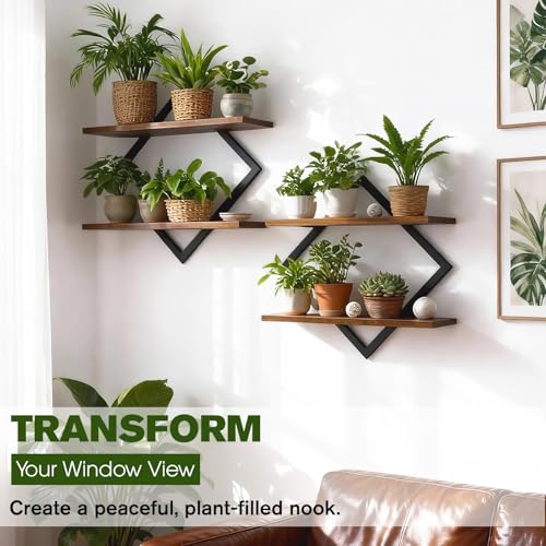 2 Pack Floating Wall Shelves Plant Holders, Brown - color: Rustic Brown-2pack
