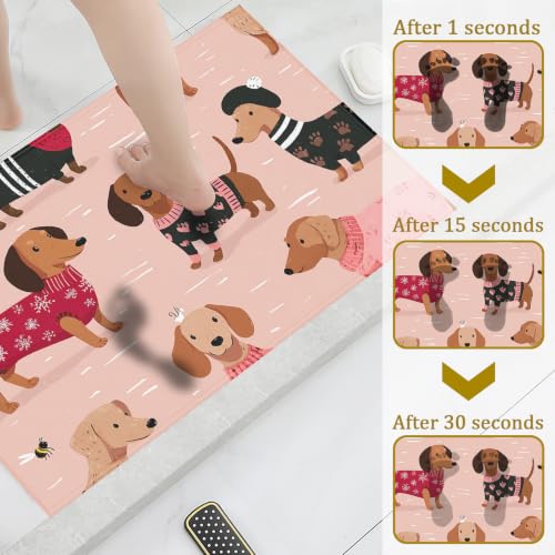 Pink Dachshund Dog Bath Mat Rug, Door Mat Doormat Entrance Non-Slip Bathroom Rugs for Entryway Bathroom Kitchen 17 x 30 Inch - color: Pink Dachshund Dog