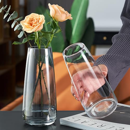 FANTESTICRYAN Modern Glass Vase, 8.7''H Decor Flower Vases, Crystal Clear - color: Crystal Clear