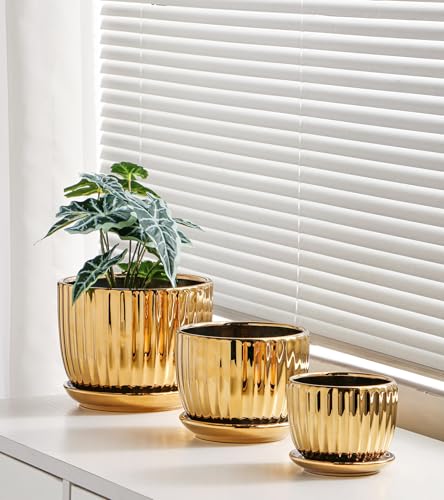 Plant Pots,Ceramic Flower Pots with Drainage Holes & Saucers Set of 3（Gold） - color: Gold
