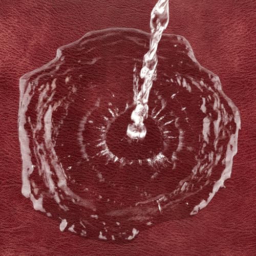 ADRIMER Oval Placemats Set of 6, Wipeable Faux Leather, Wine Red - color: Wine Red