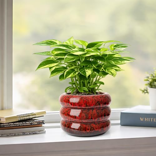 Ceramic 6 inch Plant Pot - Red Planter for Indoor Plants with Drainage Hole - color: Red-s