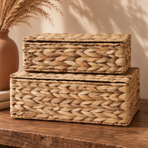 Decorative Storage Boxes with Lids - Set of 2 Wicker Organizer Shelf Bins