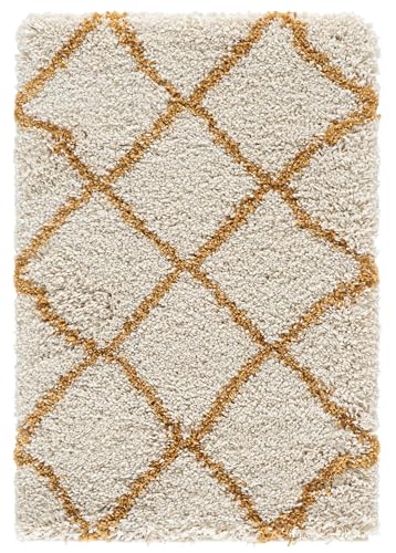SAFAVIEH Hudson Shag Accent Rug 2x3, Plush Trellis Ivory & Gold SGH281E - color: Ivory/Gold, size: 2' x 3' (Rectangular)