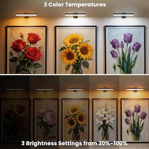 Picture Lights for Wall Battery Operated, 2 Pack Black 3CCT Dimmable Light - color: Black-3CCT