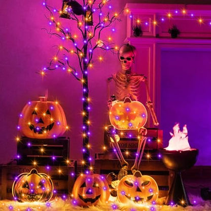 CCILAND 2 Pack 20FT Halloween Fairy Lights Battery Operated with Timer - color: Purple & Orange