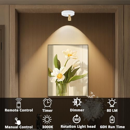 RAHAN 2Pack Battery Operated Spotlight, Picture Light with Remote Dimmable & Timer, Plants Uplighting Picture Lights for Paintings, Small LED Spot Display Lights for Wall Frame Artwork Dartboard - color: White-G
