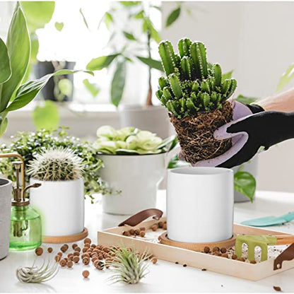 Cindeer 12 Pack Small Succulent Pots 3 Inch Plant Pots with Drainage,White - color: White